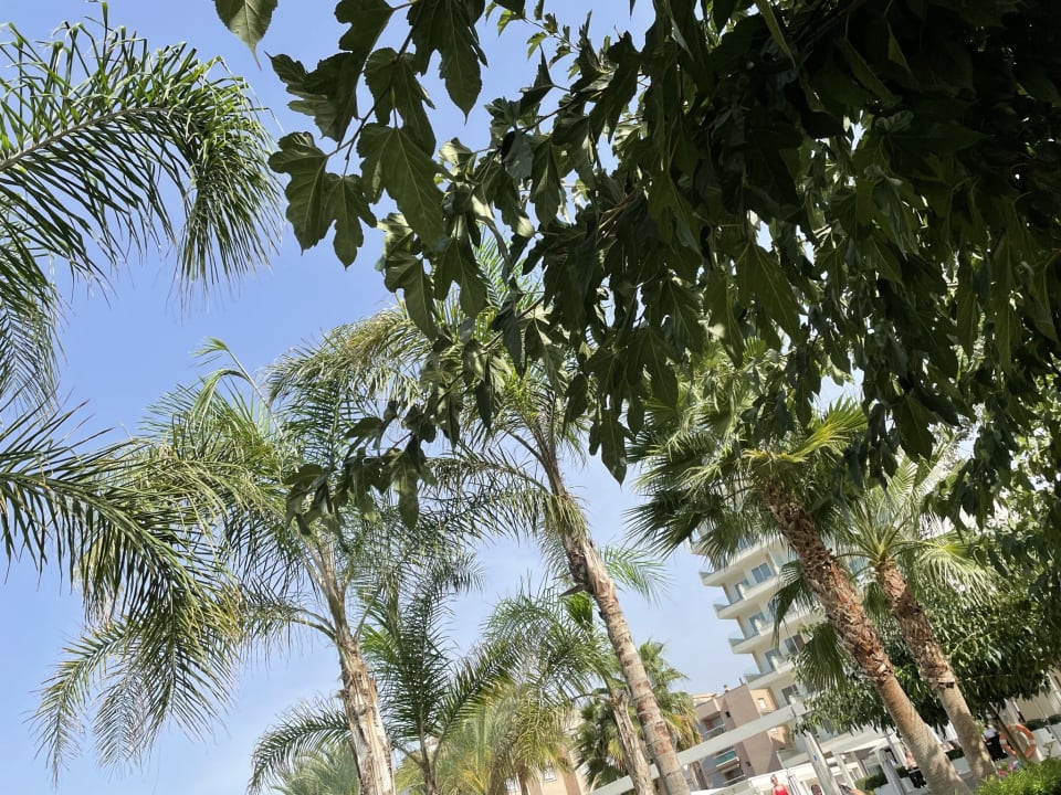 Ausblick BG Hotel Caballero