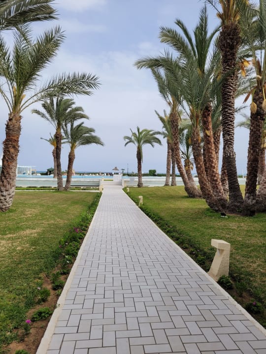 Gartenanlage Iberostar Waves Averroes