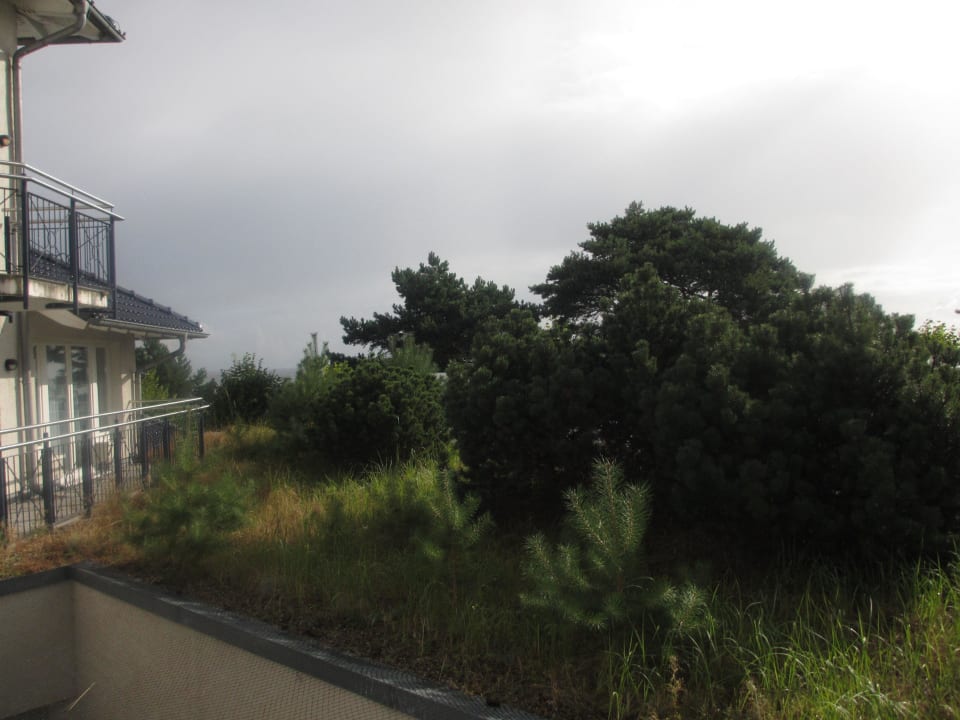 Blick auf das Meer Dorint Strandhotel Binz