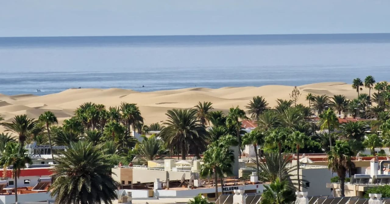 Ausblick Hotel Riu Palace Palmeras