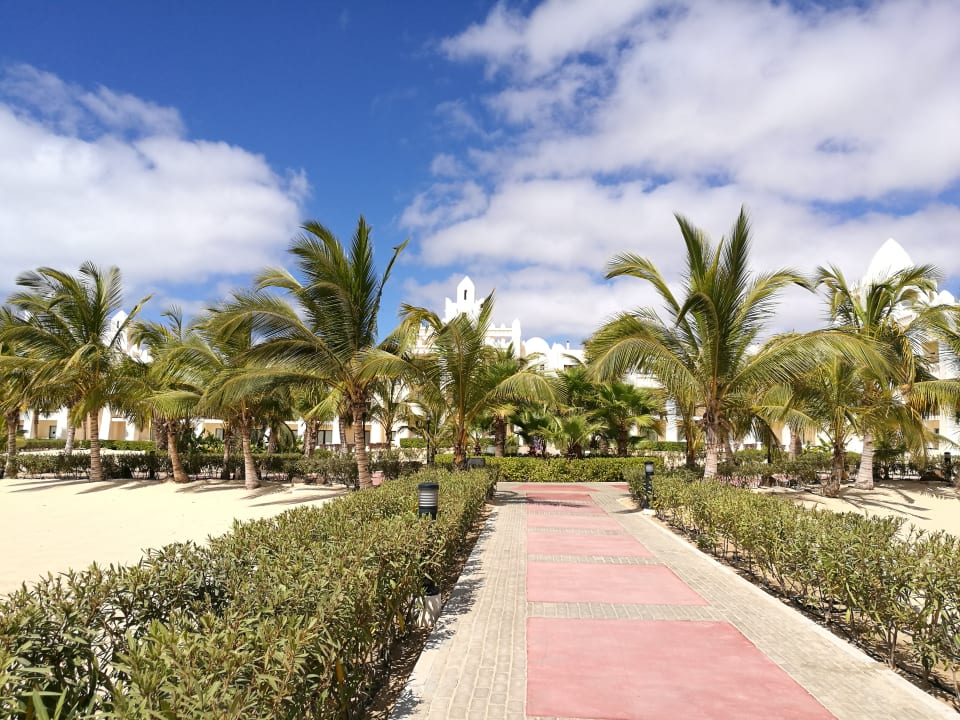 Gartenanlage Hotel Riu Karamboa