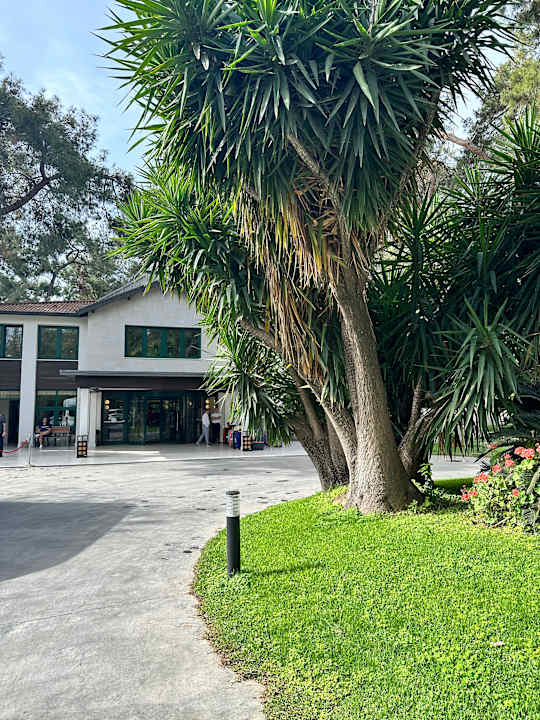 Gartenanlage Voyage Sorgun