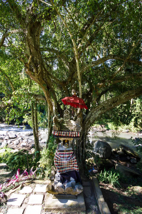 Gartenanlage Four Seasons Resort Bali at Sayan