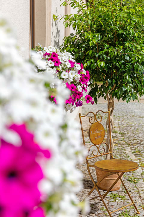 Außenansicht Gasthof Schweizer Hof