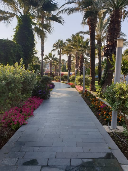 Gartenanlage Arycanda Kirman Premium