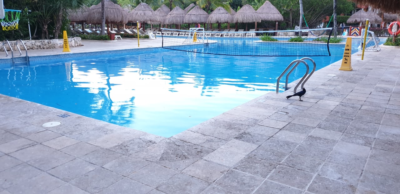 Pool Iberostar Waves Paraiso del Mar