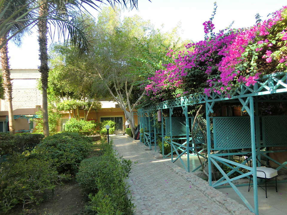 Bungalows in der Gartenanlage Giftun Azur Resort