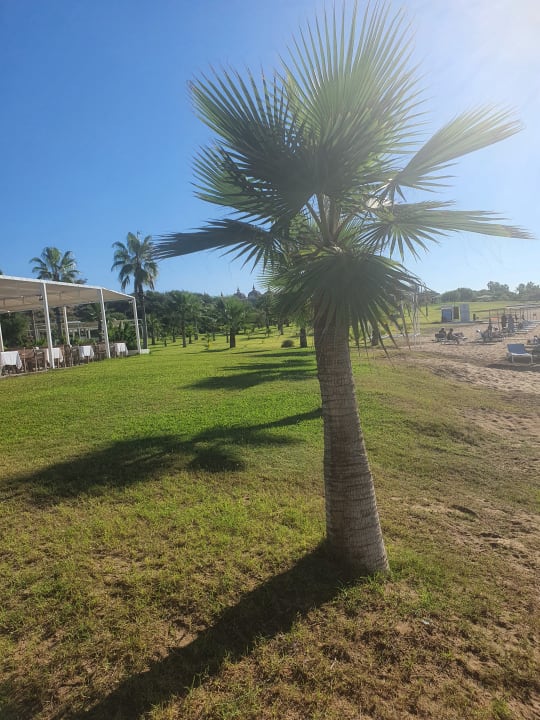 Strand Süral Saray Hotel