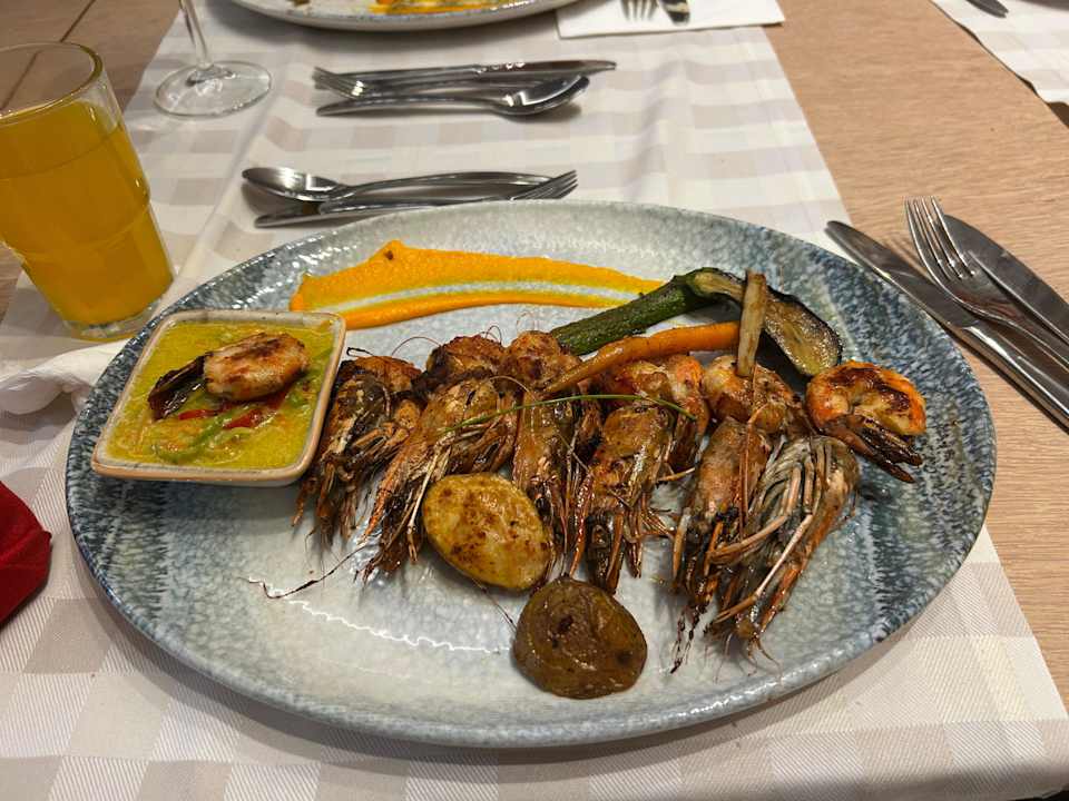 Gastro Seashell Vega