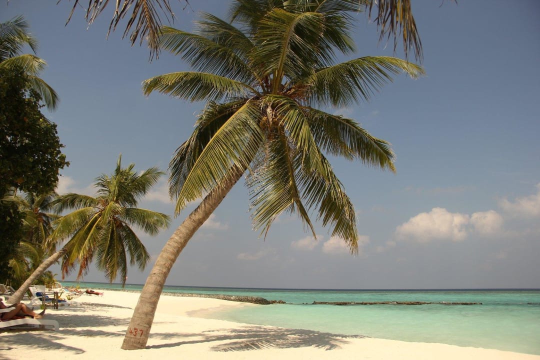 Strandabschnitt vor Bungi 215, Joanna & Pascal Summer Island Maldives