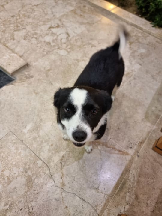 Sonstiges Nerton Hotel - Erwachsenenhotel ab 16 Jahren