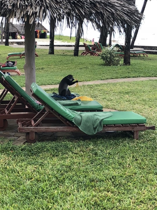 Garten Neptune Paradise Beach Resort & Spa