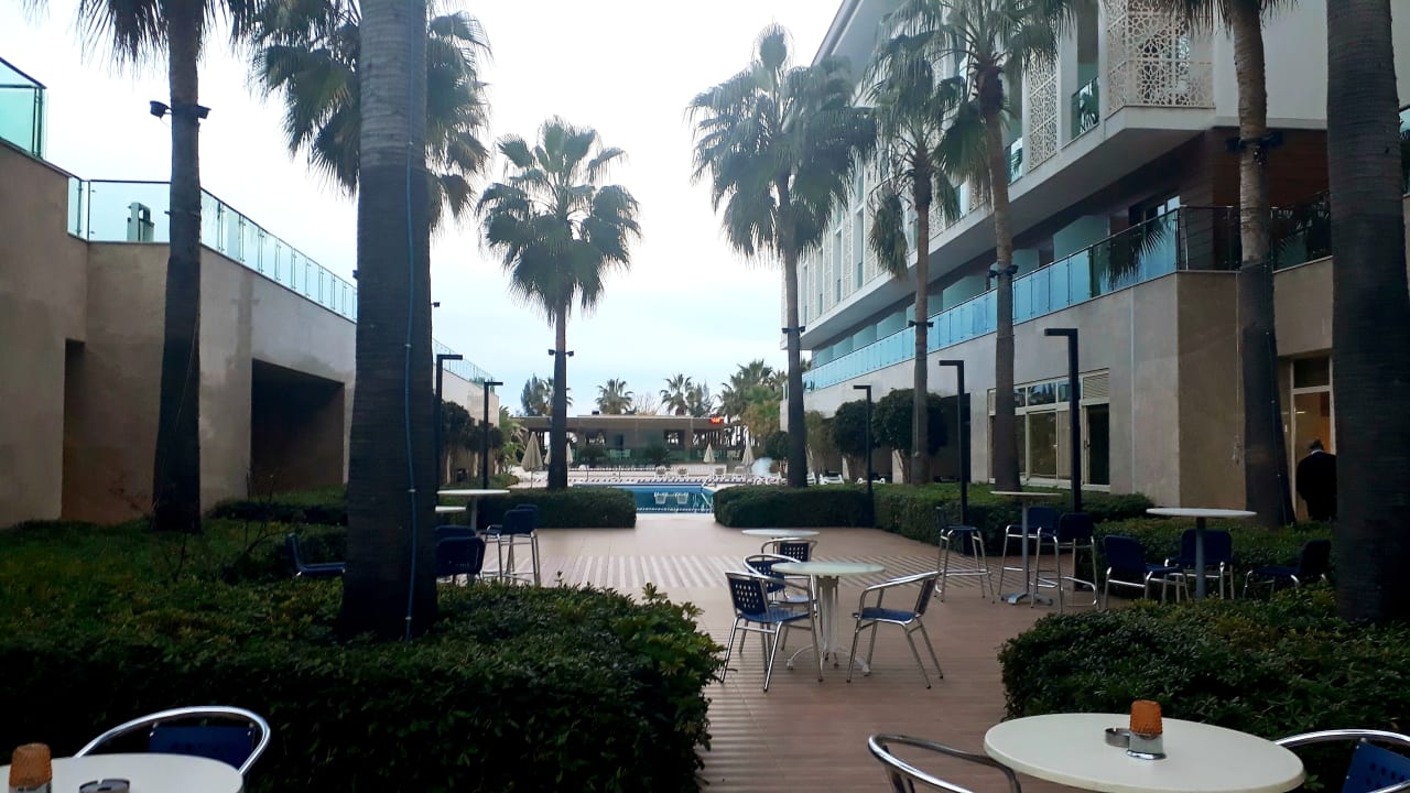 Gastro Sentido Trendy Verbena Beach