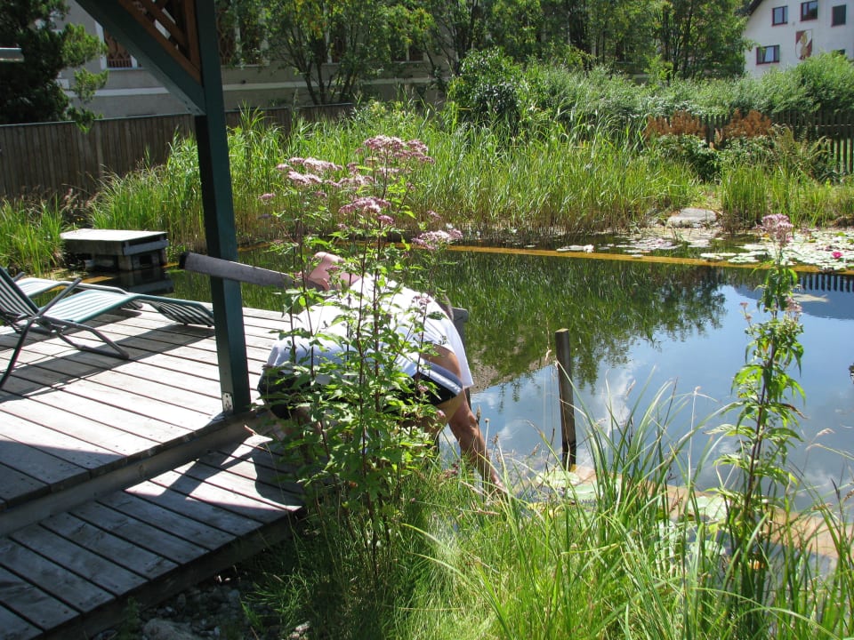 Schwimmteich Familiengasthof Maier