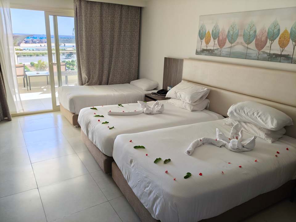 Zimmer Albatros Makadi Resort