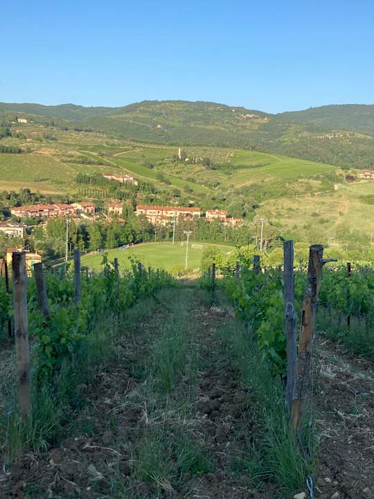 Ausblick Terre di Baccio