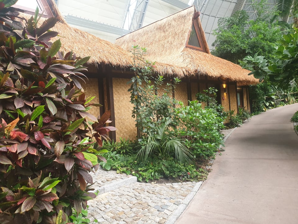 Zimmer Tropical Islands Resort