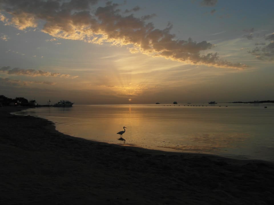 Sonnenaufgang 25.Feb.12-6:17 Uhr Jaz Makadi Oasis Resort