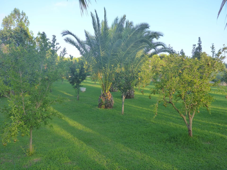 Weg zum Strand Club Grand Side