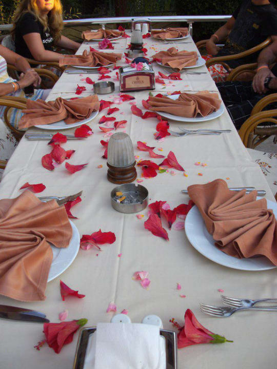 Super gedeckter Tisch Hotel Orfeus Park