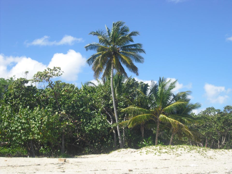 Strand Iberostar Waves Costa Dorada