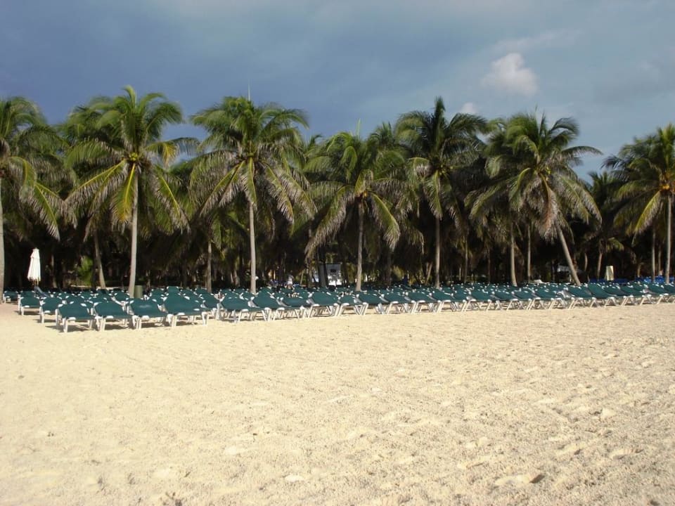 Palmen und Liegen Hotel Riu Tequila