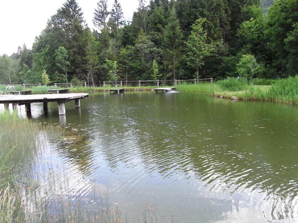 Schwimmteich Hotel Jagdschlössl