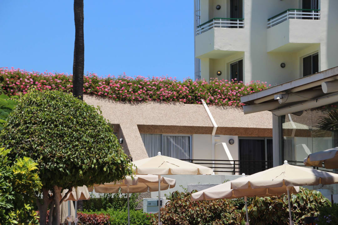 Hôtel H10 Las Palmeras - La Bungalo 2015 H10 Las Palmeras