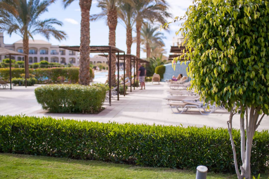 Территория отеля, дорожки около бассейнов JAZ Aquamarine Resort