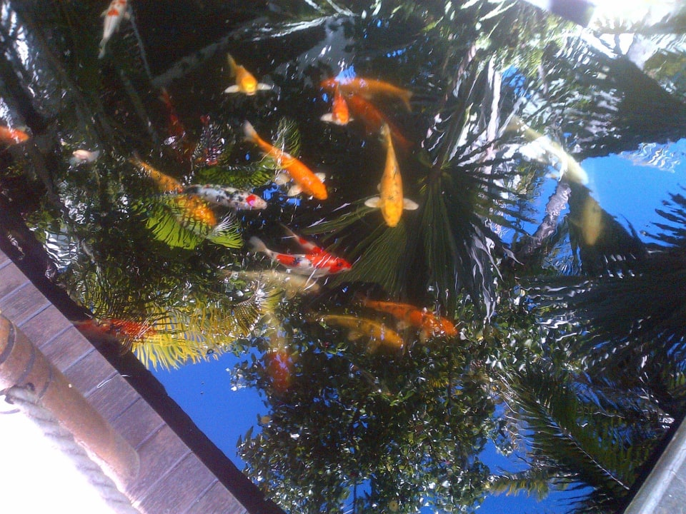 Eingang Laguna Beach Hotel & Spa