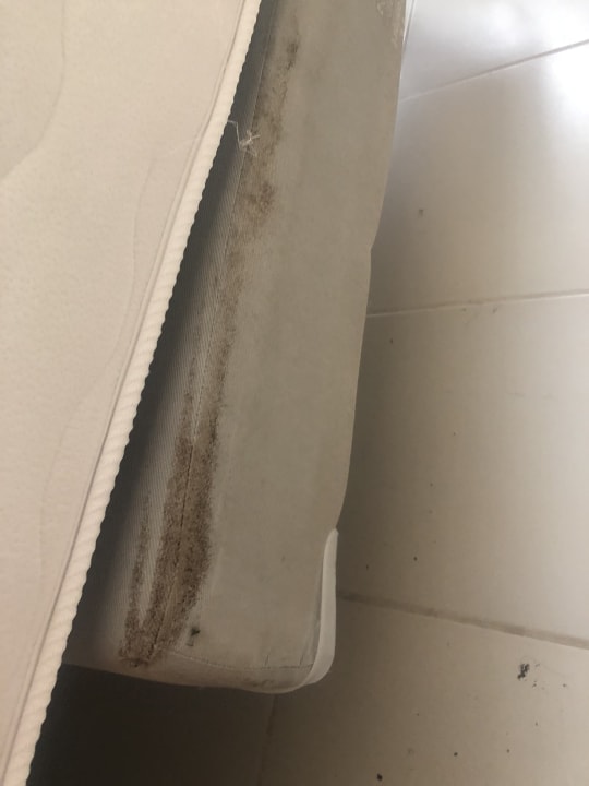 Zimmer Fiesta Americana Punta Varadero