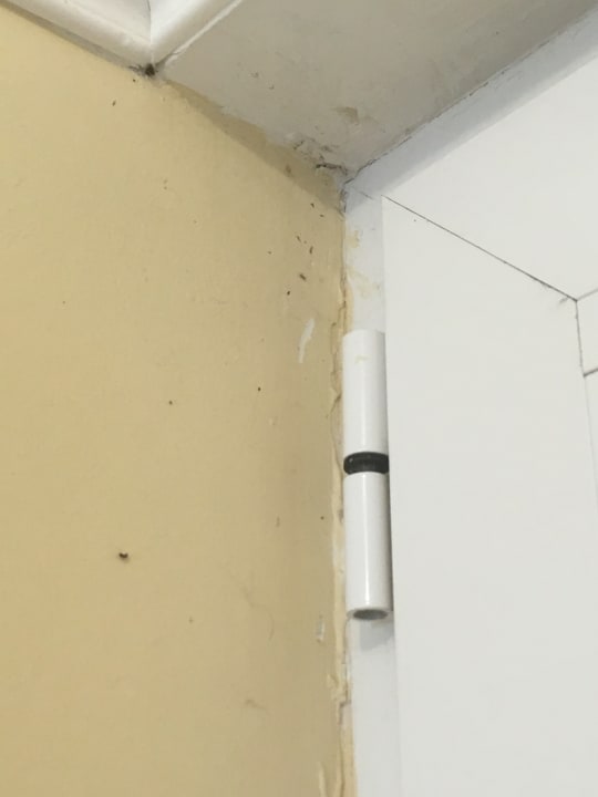 Zimmer Vantaris Palace