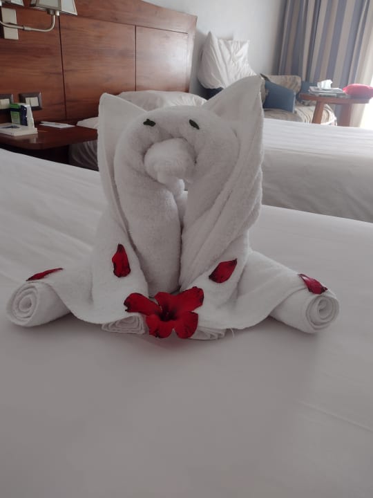 Zimmer Stella Garden Resort & Spa, Makadi Bay