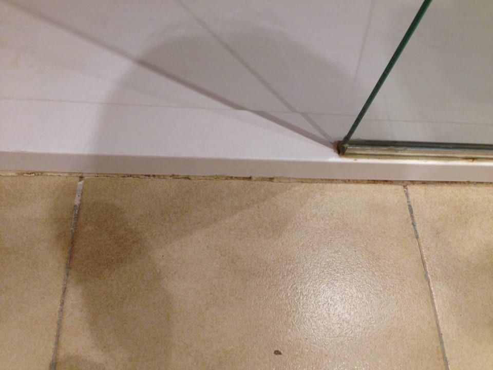 Silikon verschimmelt Globales Bouganvilla