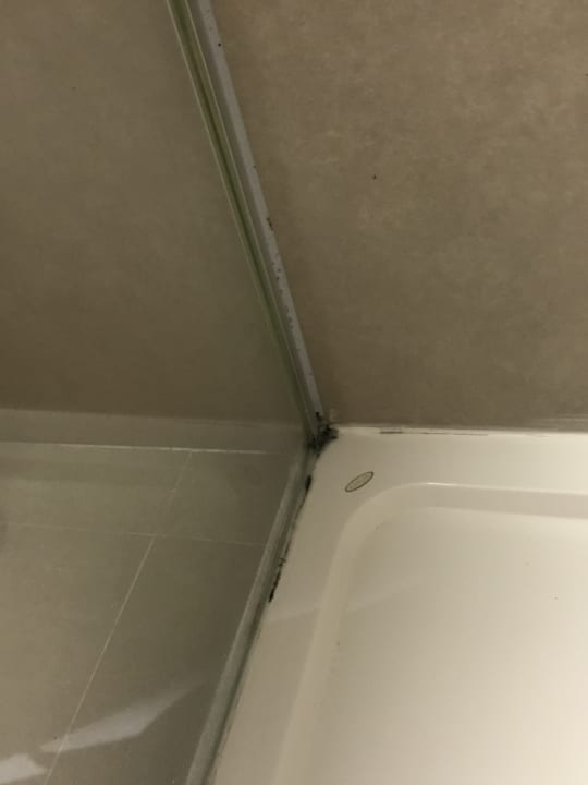 Zimmer BG Hotel Caballero