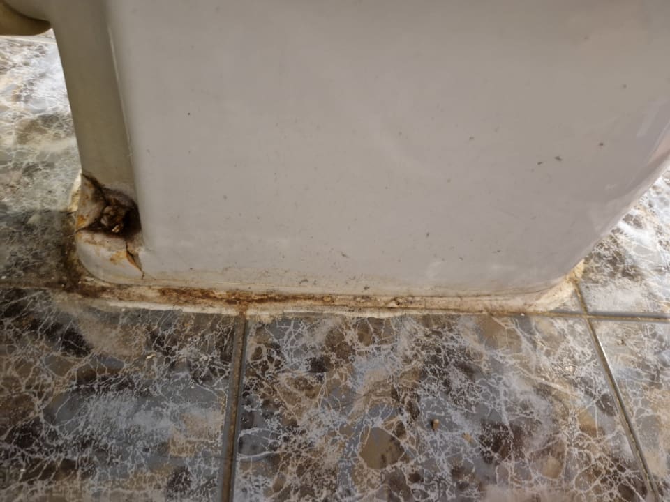 Zimmer Pharaoh Azur Resort