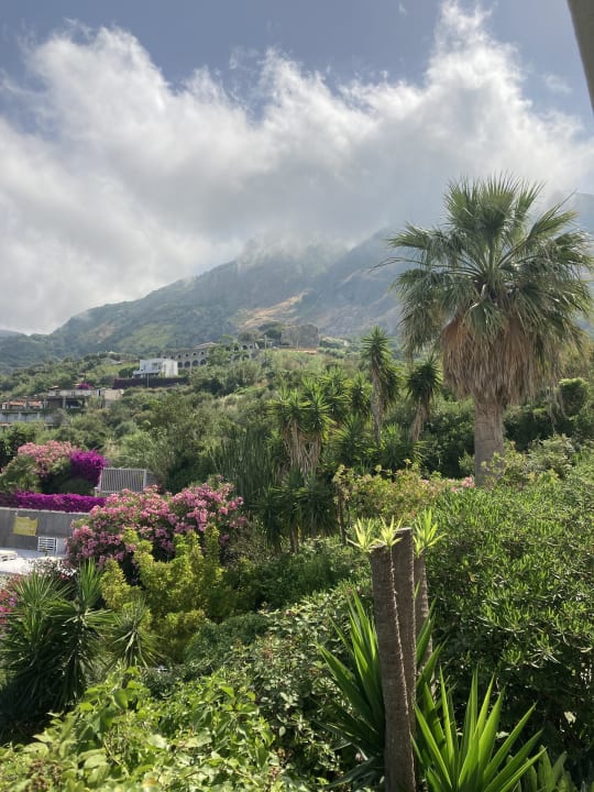 Gartenanlage Hotel Paradiso Terme Resort & SPA