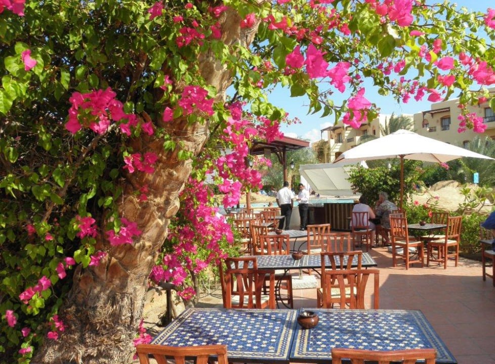 Poolbar Steigenberger Coraya Beach - Adults only