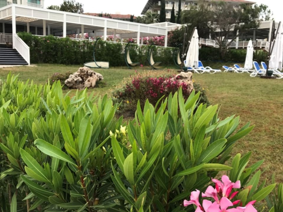 Gartenanlage Alba Queen Hotel