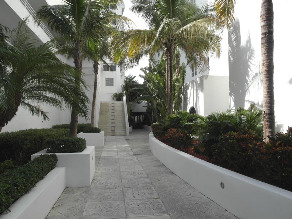 Weg vom Pool/Strand zum Hotel Royal Palm South Beach Miami, a Tribute Portfolio Resort