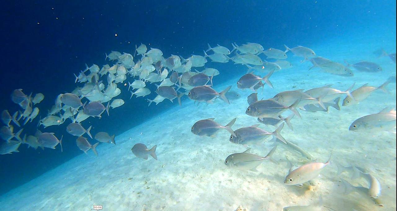 Strand Adaaran Club Rannalhi - All Inclusive
