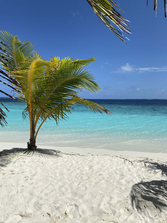 Strand Adaaran Select Meedhupparu Island Resort - Premium All Inclusive