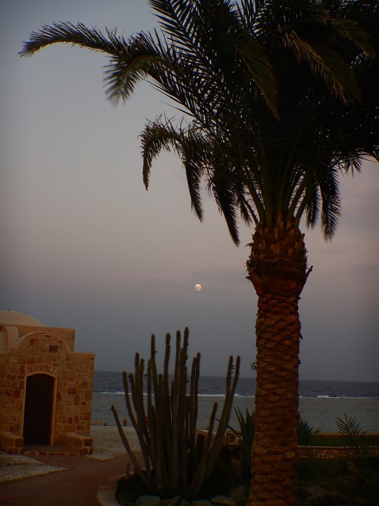 Ausblick Mövenpick Resort El Quseir