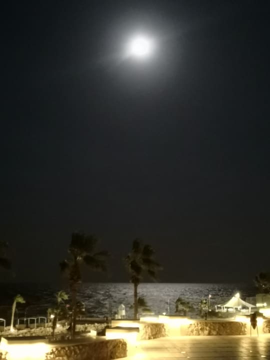 Ausblick Pickalbatros Citadel Resort