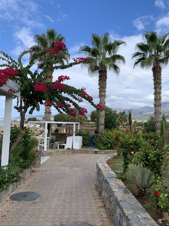 Gartenanlage Ikaros Beach Luxury Resort & Spa - Adults Only