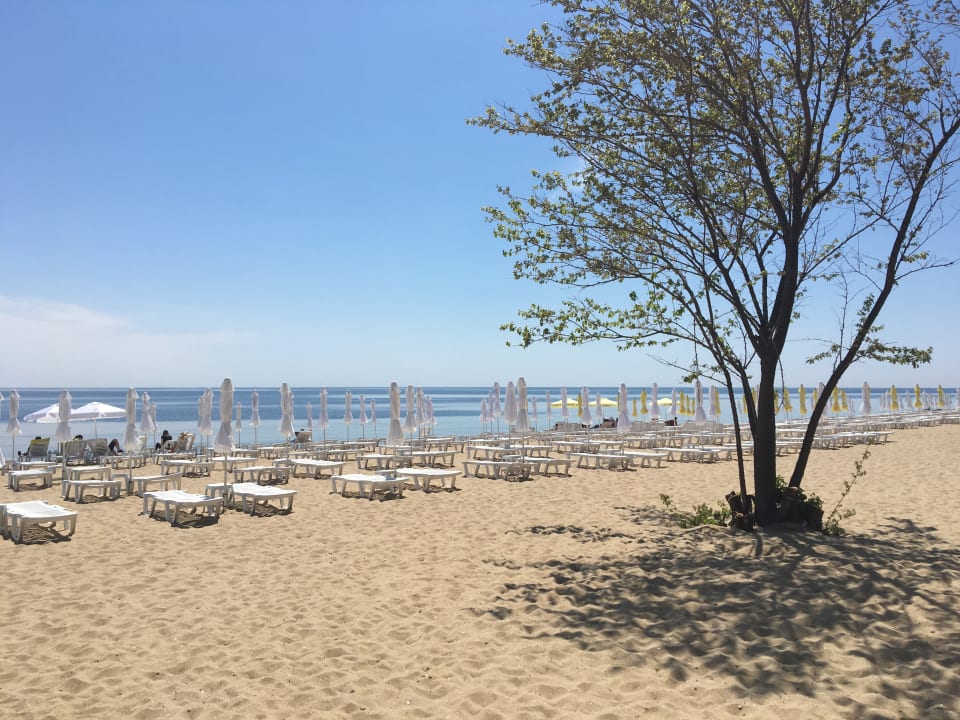 Strand GRIFID Encanto Beach