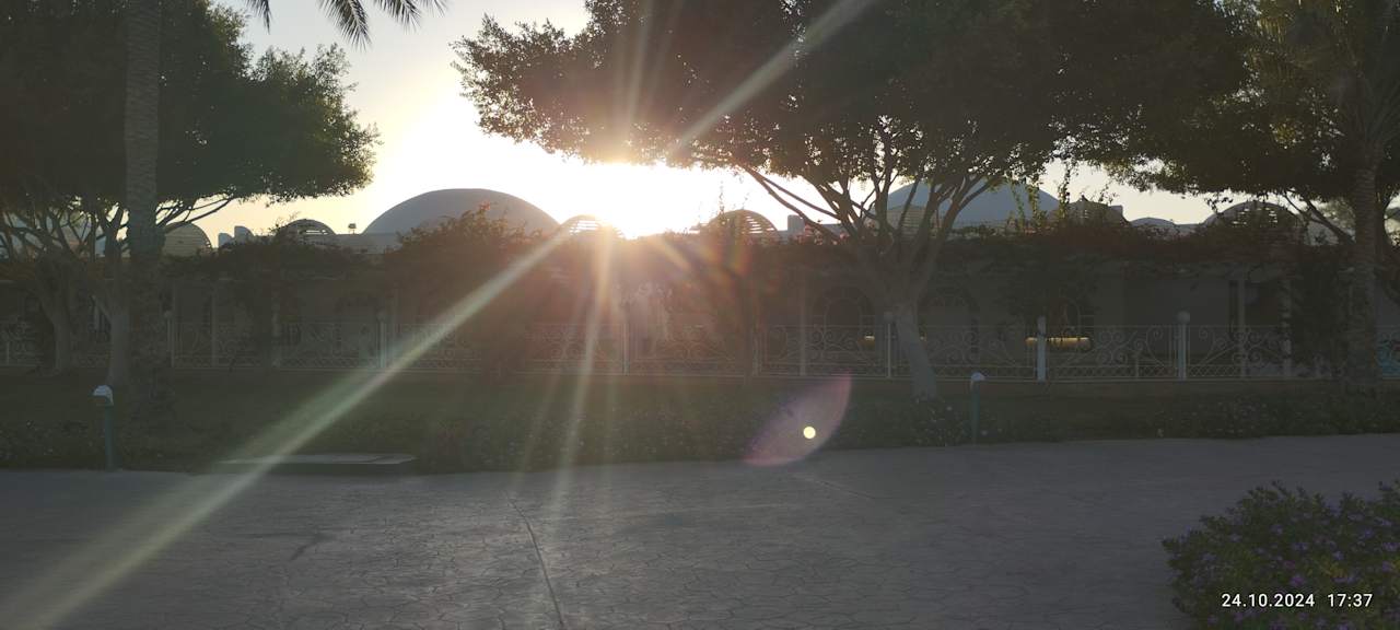 Gartenanlage Desert Rose