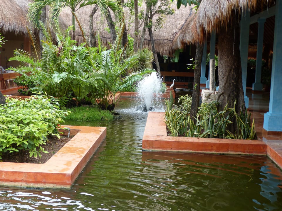 Wasserspiel im Hotel Iberostar Waves Tucan