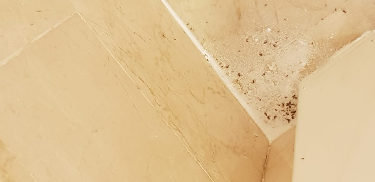 Zimmer Hotel Riu Palace Jandia