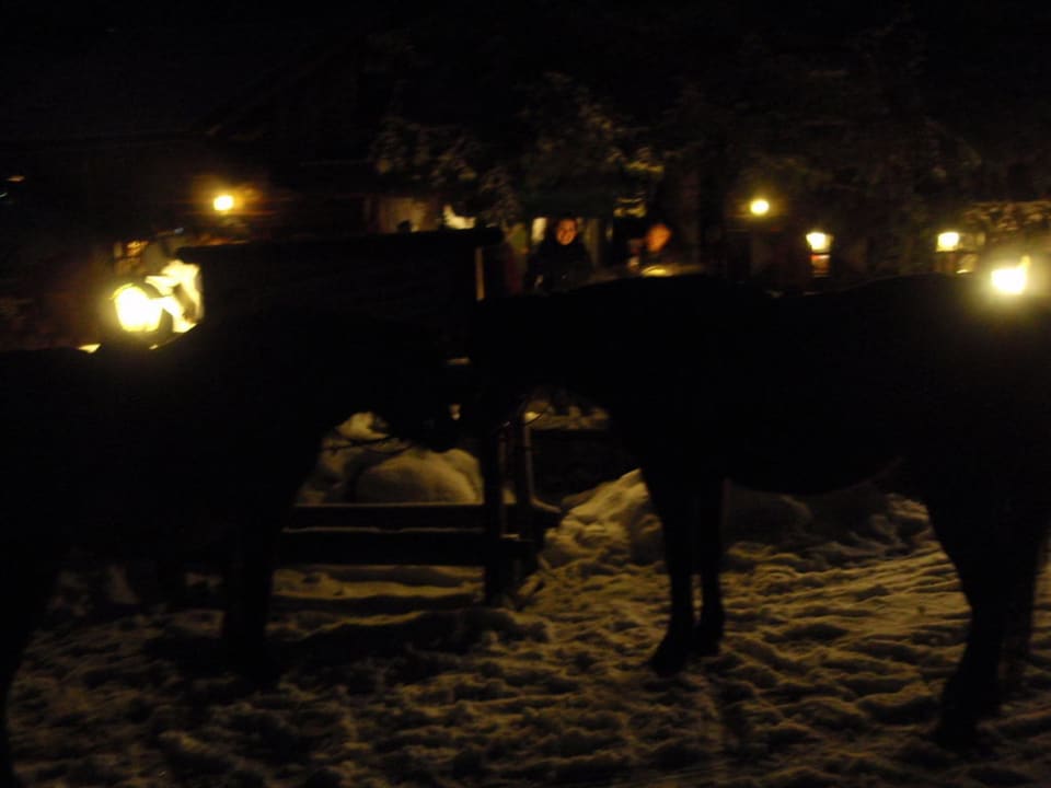 Fackelritt Hotel GUT Trattlerhof & Chalets